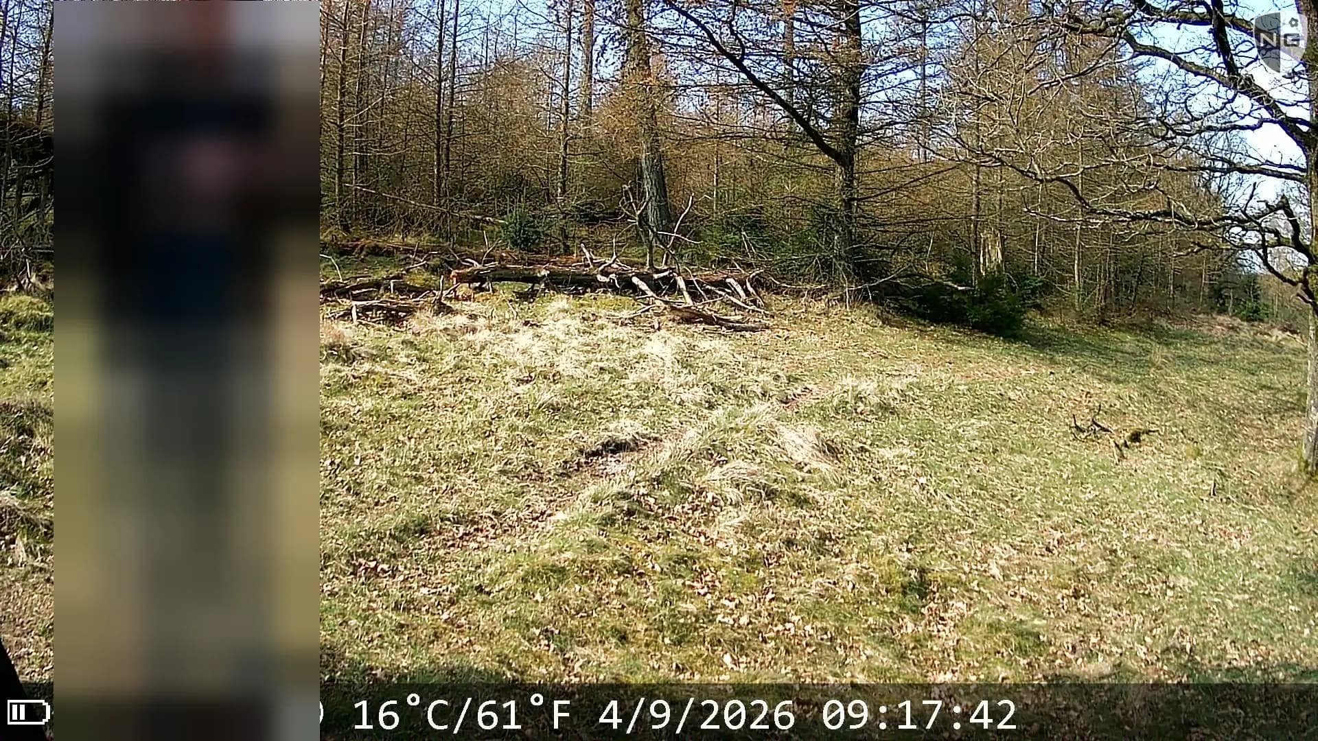 Camera trap capture in which a person stays unrecognizable