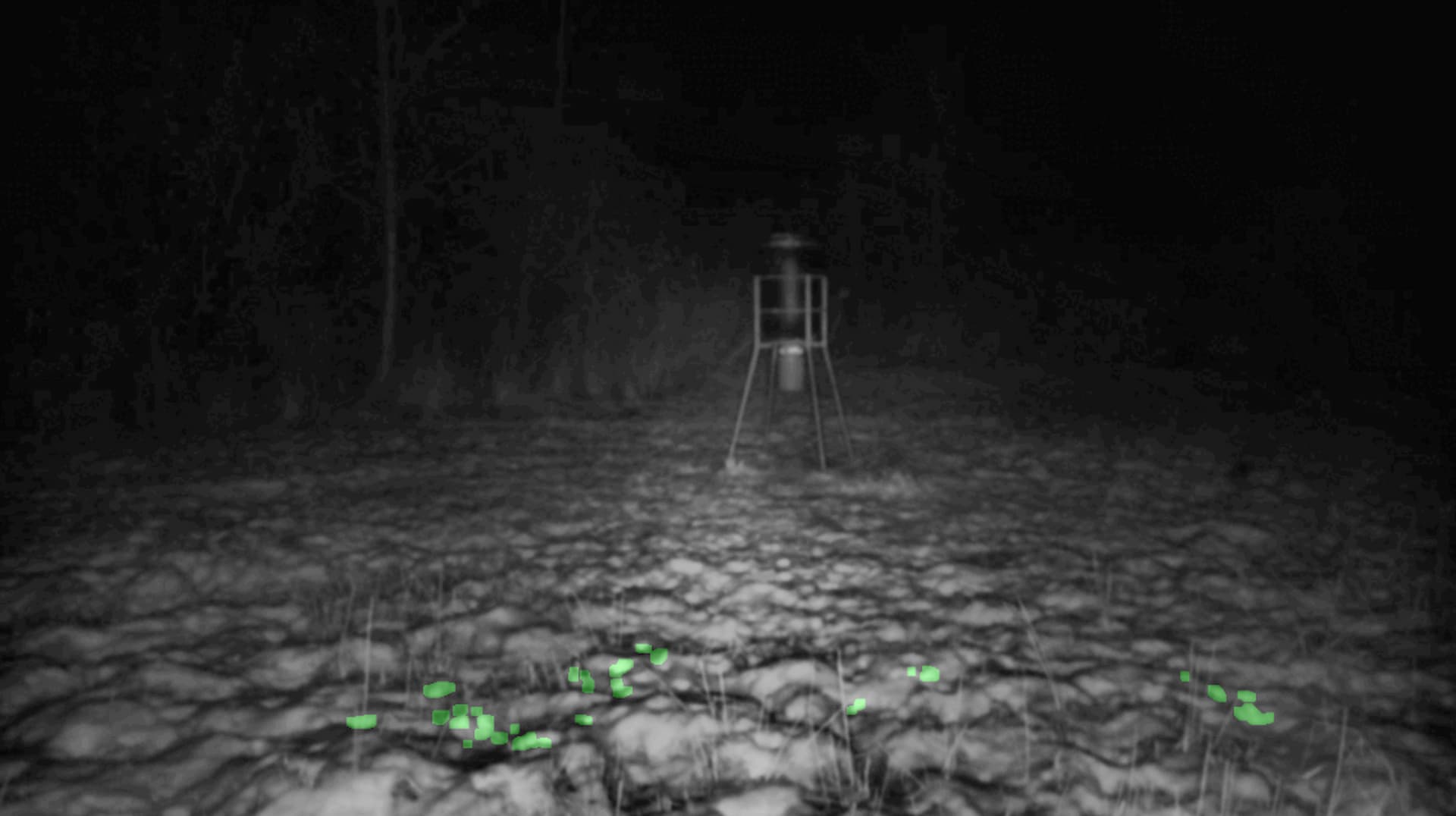 (𝐍𝐨𝐭 𝐬𝐨) Empty wildlife images 