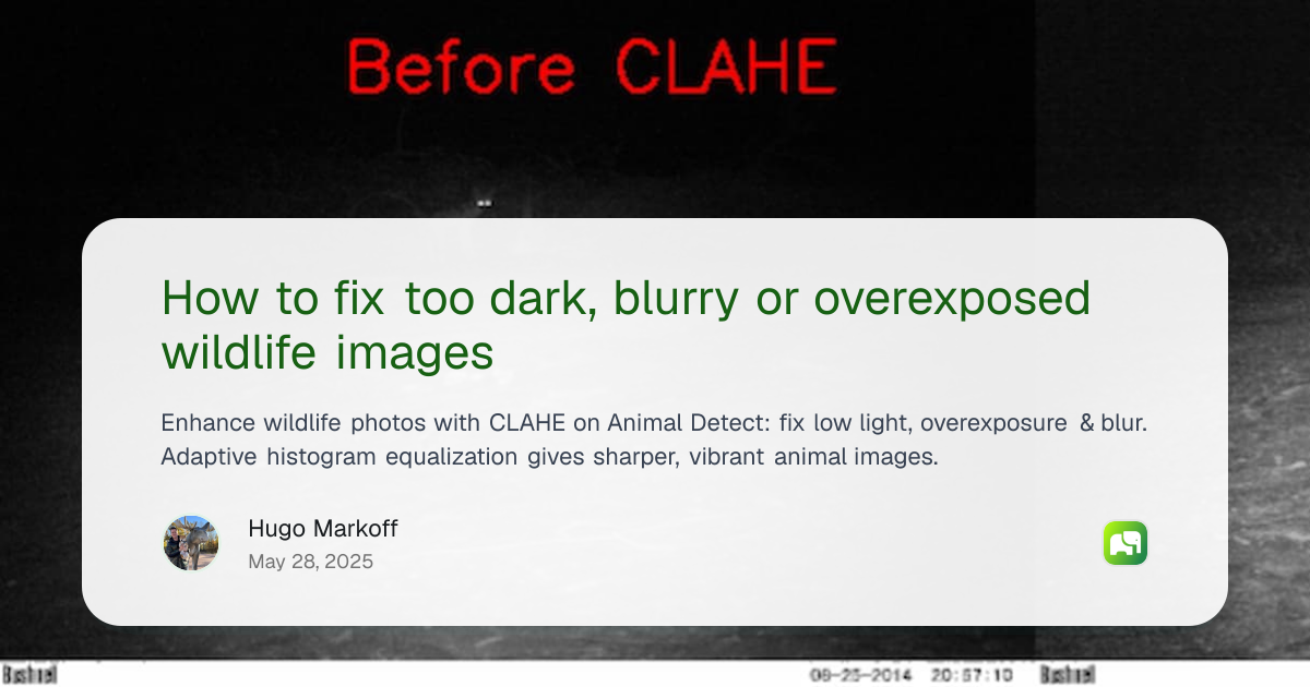 How to fix too dark, blurry or overexposed wildlife images